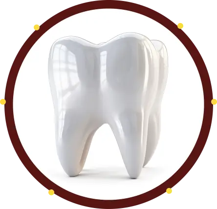 Endodontics Services Columbia SC